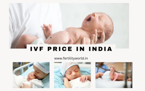IVF PRICE IN INDIA IVF PRICE IN INDIA