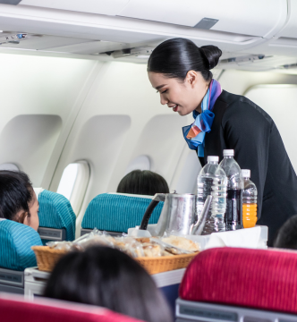 Flight Attendant4 Flight Attendant4