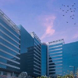 JMD Megapolis - sohna road