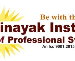 logo vinyak 500 (3)