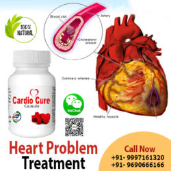 Cardiocure
