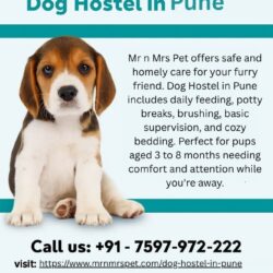 Dog Hostel In Pune.pdf