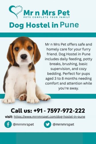 Dog Hostel In Pune.pdf Dog Hostel In Pune.pdf