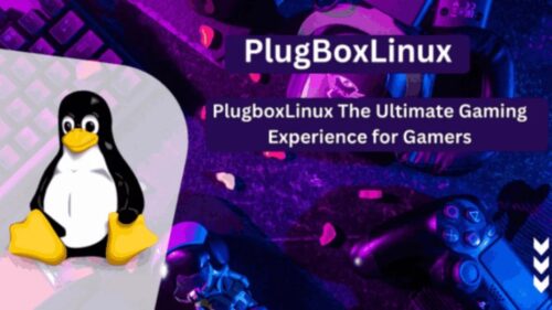 PlugboxLinux Gaming Experience . PlugboxLinux Gaming Experience .