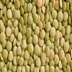 Premium Quality Green LentilsRESIZE Premium Quality Green LentilsRESIZE
