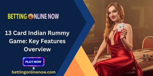 13 Card Indian Rummy Game Key Features Overview 13 Card Indian Rummy Game Key Features Overview