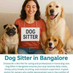DogSitterInBangalore