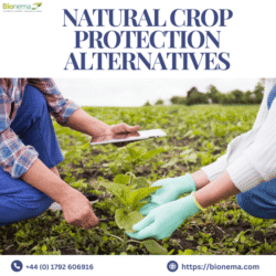 Natural crop protection alternatives (1)