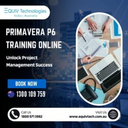 Primavera-P6-Training-Online