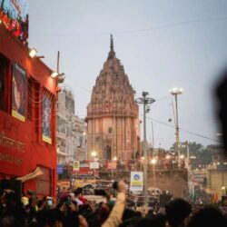 pexels-shyam-mishra-203327-19308067-683x1024 (1)
