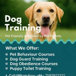 Dog Training In Pune