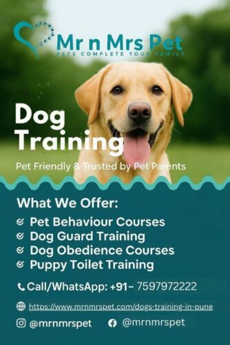 Dog Training In Pune Dog Training In Pune