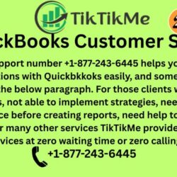 QuickBooks Premier Support (6)