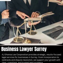 Business Lawyer Surrey (2)