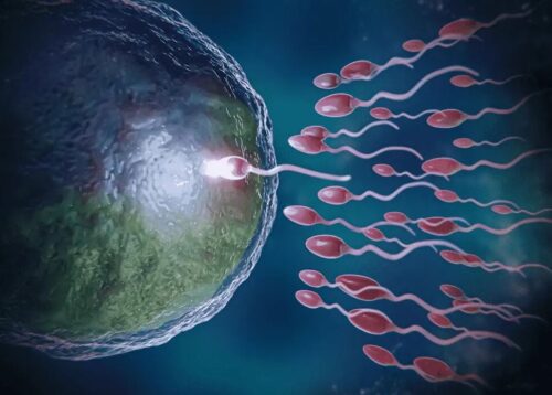 oligospermia oligospermia