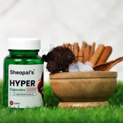 Best-Ayurvedic-Medicine-For-High-BP