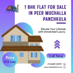 1 BHK PAnchkula