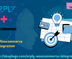 Erply Woocommerce integration (1)