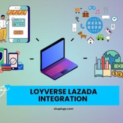 Loyverse Lazada integration