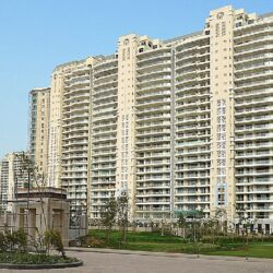 DLF The Magnolias