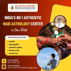 No-1-Authentic-Nadi-Astrology-Center-in-New-Delhi