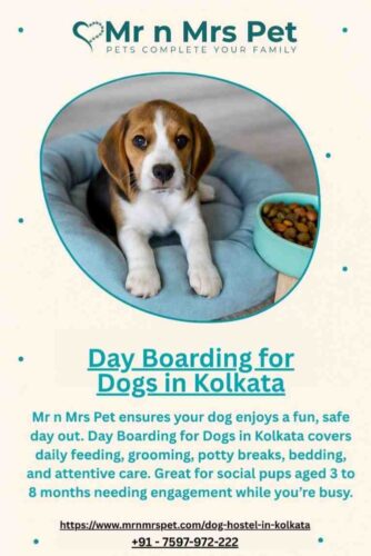 DayBoardingforDogsinKolkata DayBoardingforDogsinKolkata