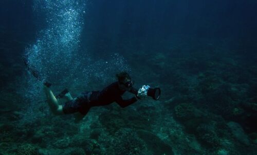Diving In Mallorca Diving In Mallorca