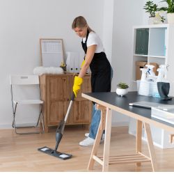 House Cleaning House Cleaning