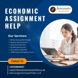 economic assignment help (1)