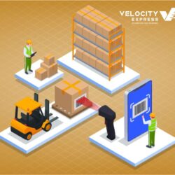 2-_Velexp_optimized_250