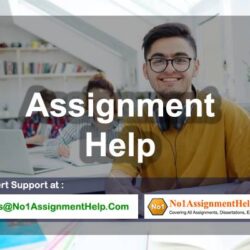 Assignment Help
