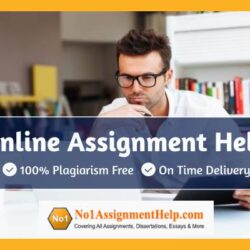 online-Assignment-Help