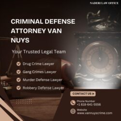Criminal Defense Attorney Van Nuys