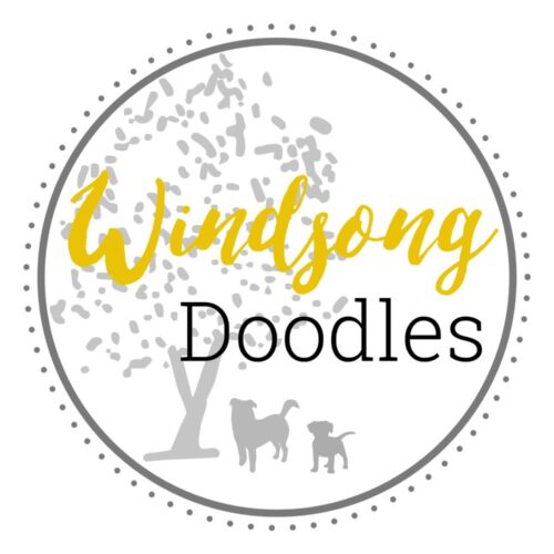 Windsong Doodle logo 2 Windsong Doodle logo 2