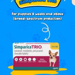 Flea-Tick-Prevention-for-Puppies-Simparica trio