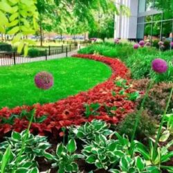 landscaping-glenelg-5