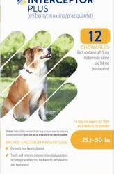 Buy Interceptor Plus for Dogs – Heartworm & Worm Protection at DiscountPetCare
