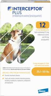 Buy Interceptor Plus for Dogs – Heartworm & Worm Protection at DiscountPetCare Buy Interceptor Plus for Dogs – Heartworm & Worm Protection at DiscountPetCare