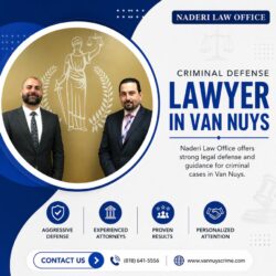 Criminal-Defense-Lawyer