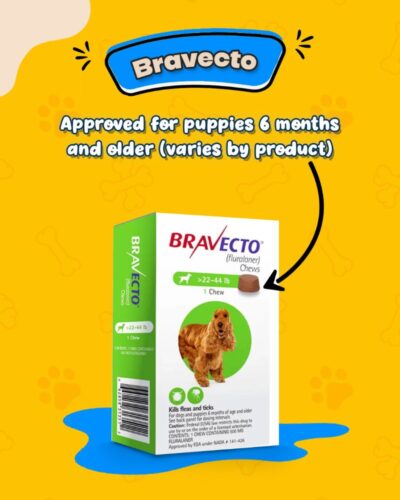Flea-Tick-Prevention-for-Puppies-Bravecto Flea-Tick-Prevention-for-Puppies-Bravecto
