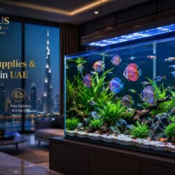 Premium Aquarium Setup in UAE