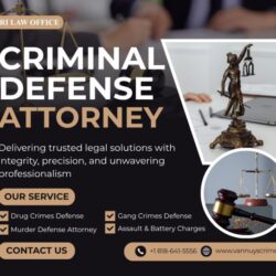 Criminal Defense Attorney in Van Nuys
