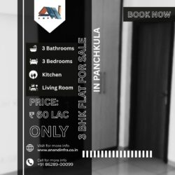 3 BHK Flats For Sale In Panchkula (AnandInfra) (1)