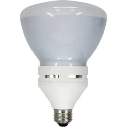 CFL Bulb Collection _ Energy Efficient Compact Lighting