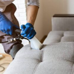 sofa cleaning 48718