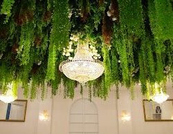 Style Your Moments with Unique Wedding Venue in Melbourne