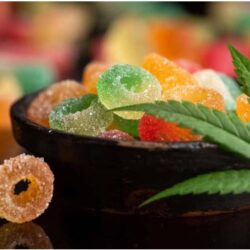 Edible Marijuana