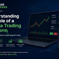 Understanding the Role of a Dabba Trading Platform