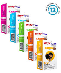 Bravecto 1 month