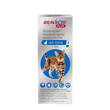 Bravecto plus for cats